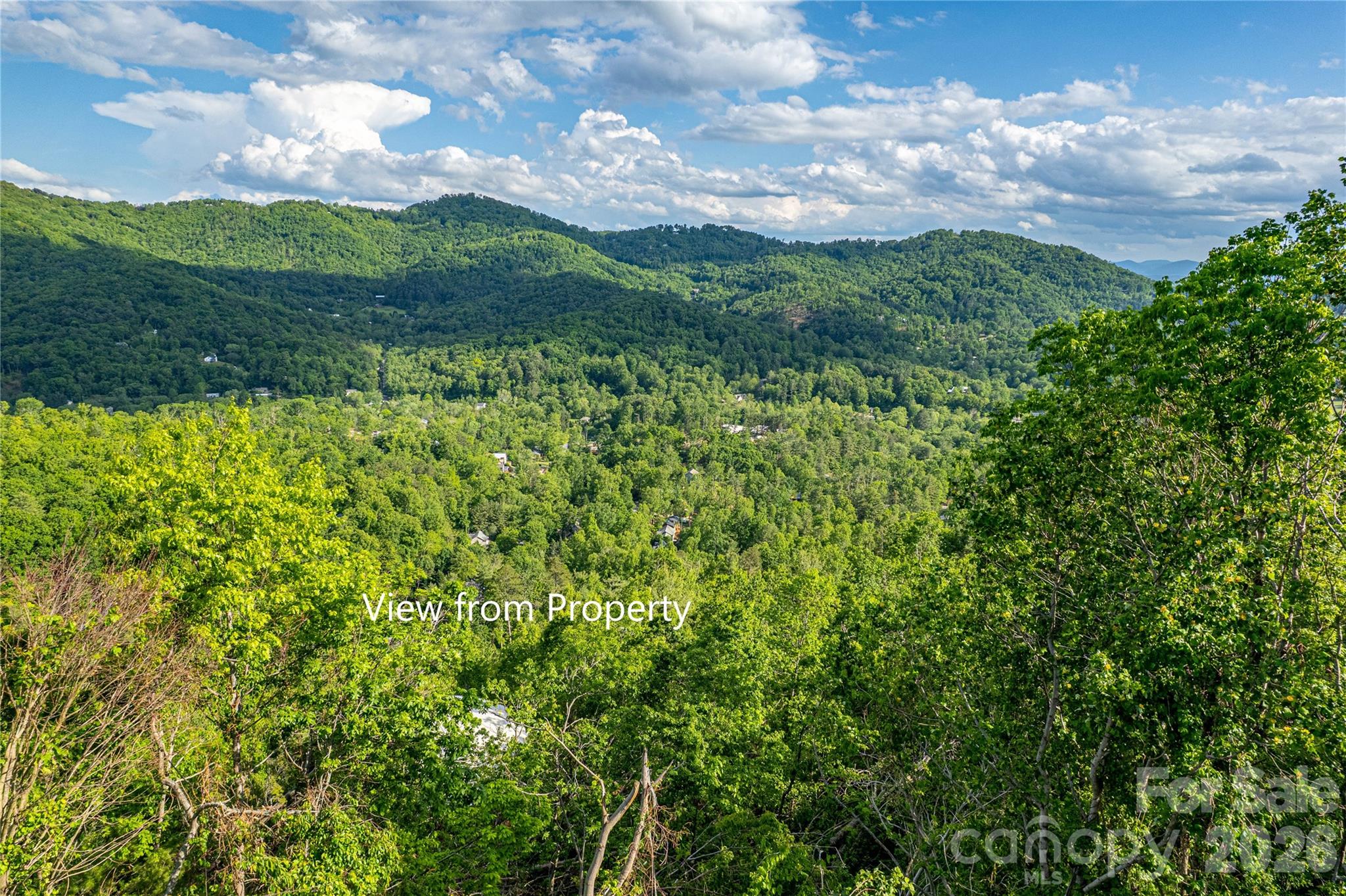 Lot at 99999 BLACK OAK Drive, Asheville, photo 6 of 14