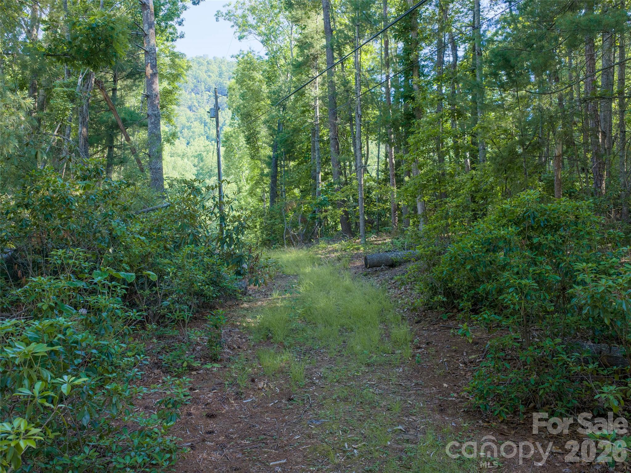 Lot at 000 Mountain Laurel Lane, Fletcher, photo 4 of 5