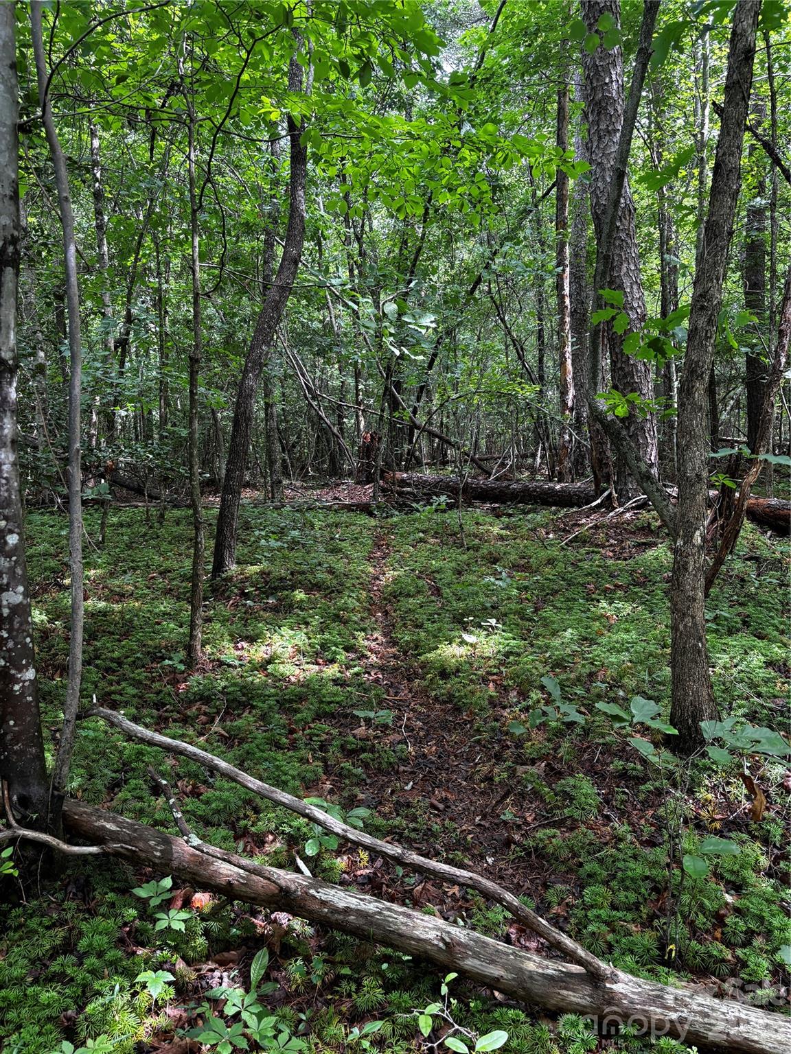 Lot at 8485 Huffman Avenue, Connelly Springs, photo 4 of 15