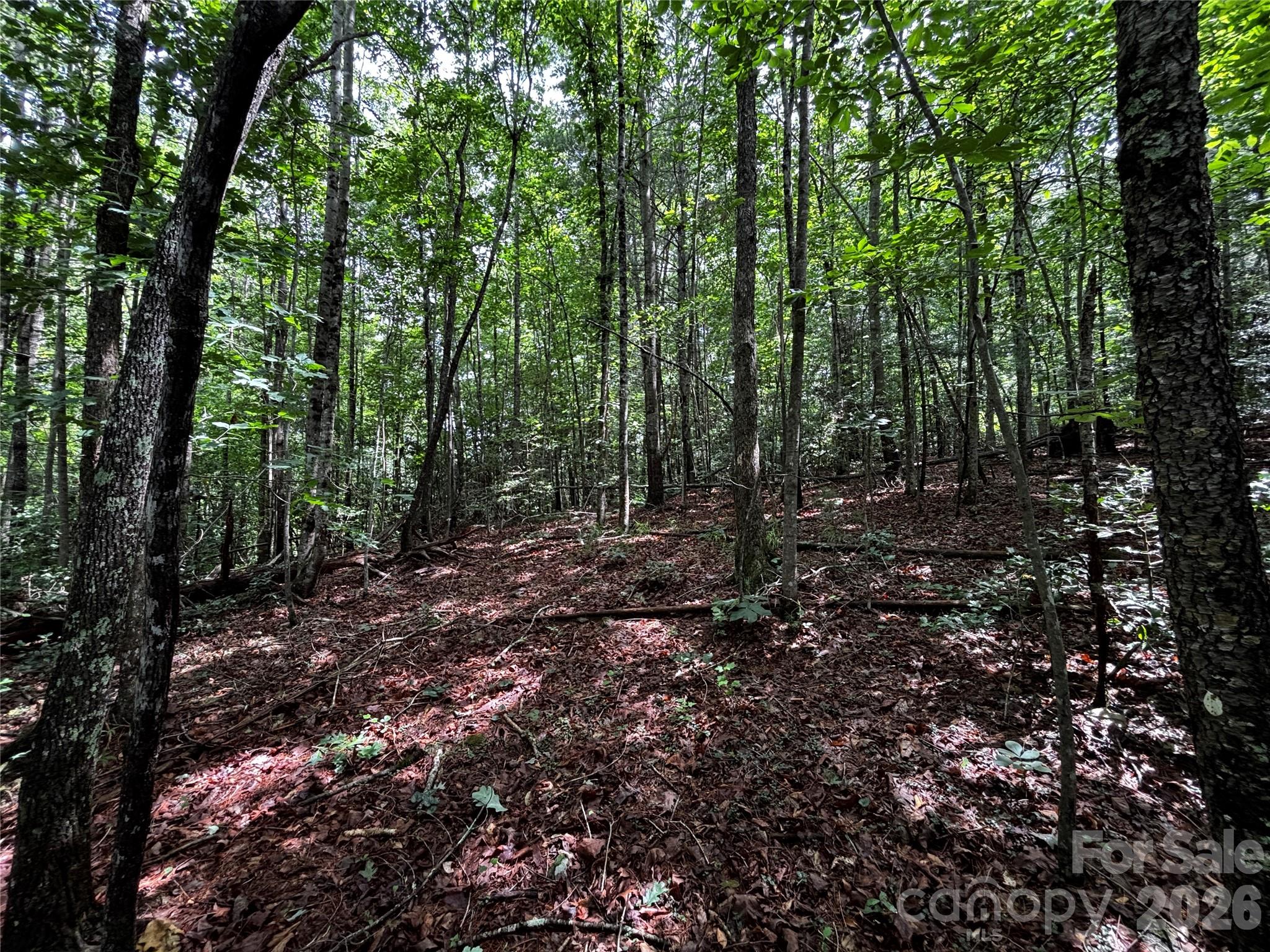 Lot at 8485 Huffman Avenue, Connelly Springs, photo 5 of 15