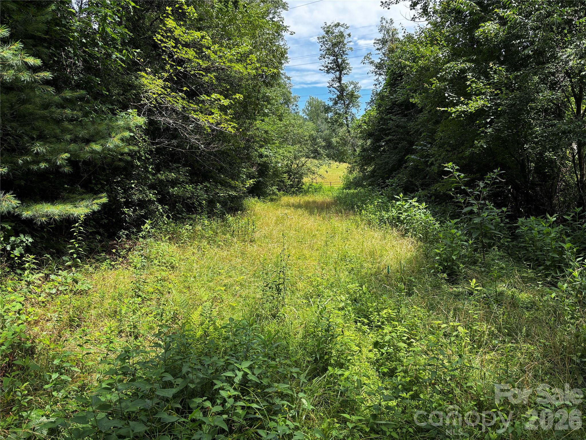 Lot at 8485 Huffman Avenue, Connelly Springs, photo 6 of 15