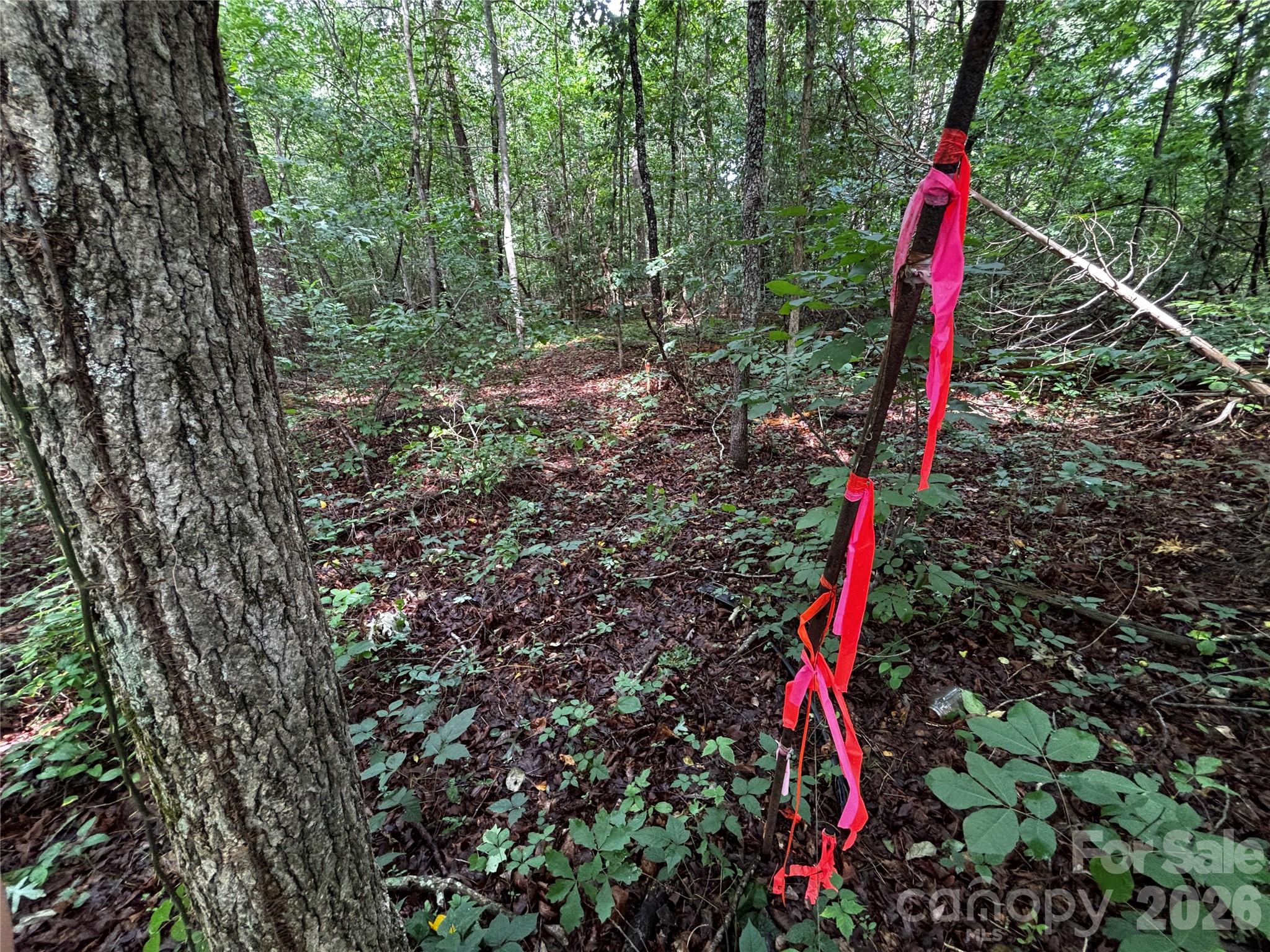 Current Survey - 8485 Huffman Avenue, Connelly Springs