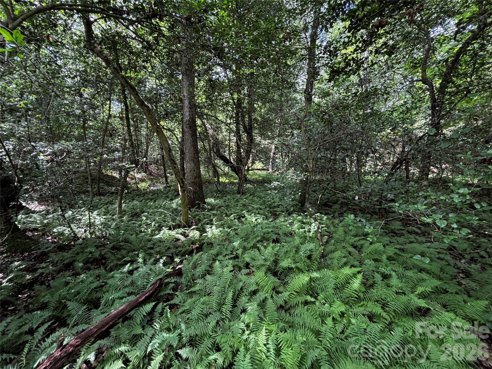Lot at 8485 Huffman Avenue, Connelly Springs, photo 14 of 15