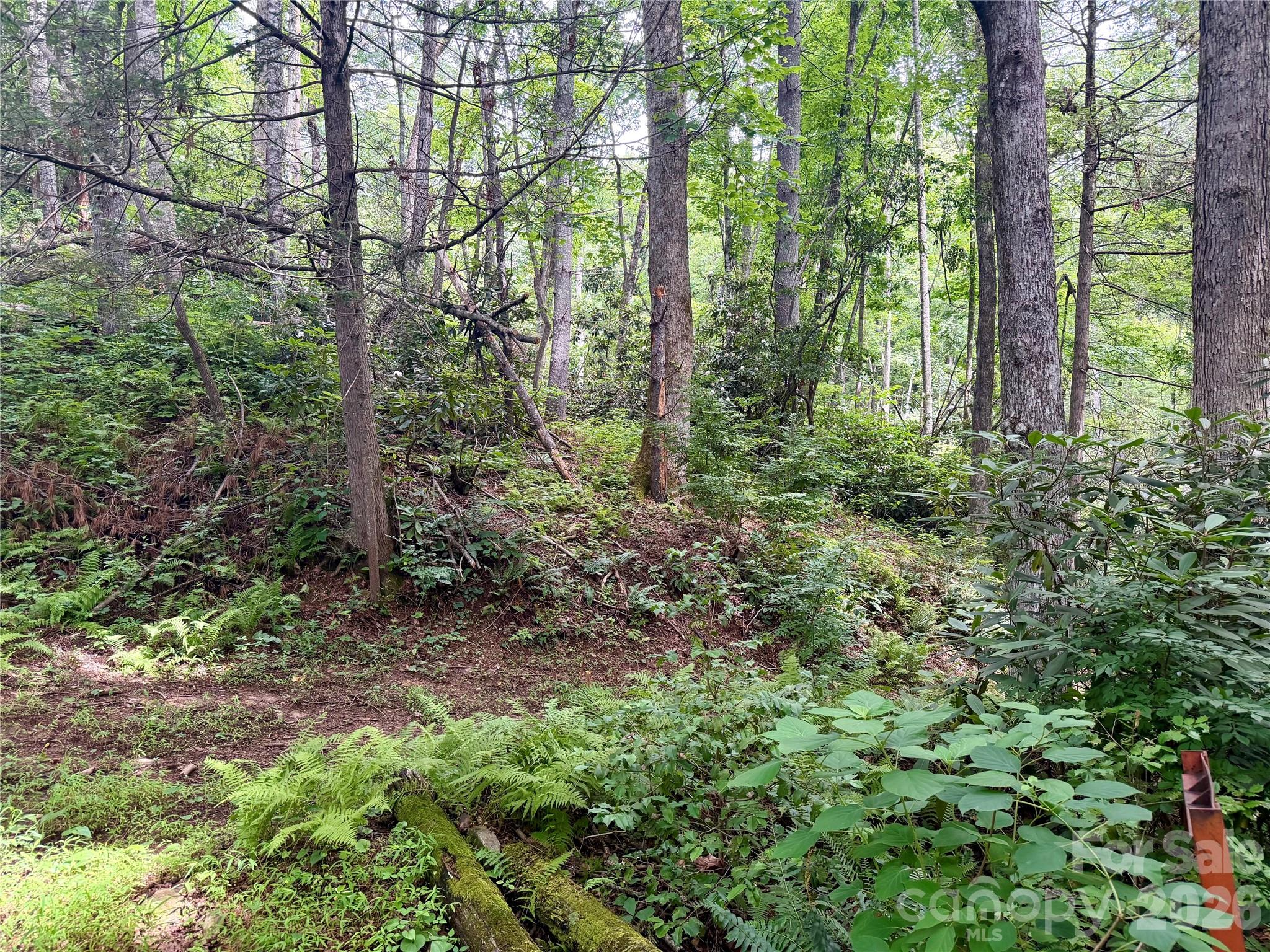 Potential Build Site - 106 Flora Lina Drive, Brevard