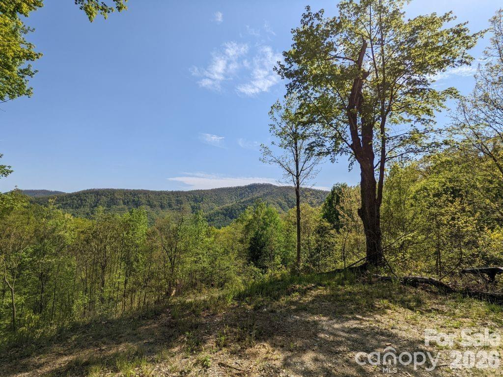 Lot at 351 Kestrel Lane, Black Mountain, photo 2 of 16