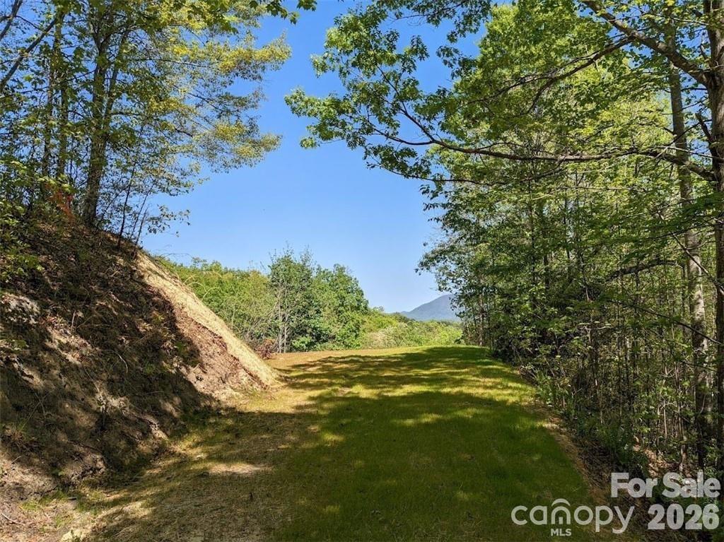 Lot at 171 Nuthatch Lane, Black Mountain, photo 2 of 9