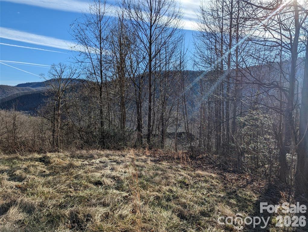 Lot at 117 Ironwood Lane, Black Mountain, photo 2 of 11