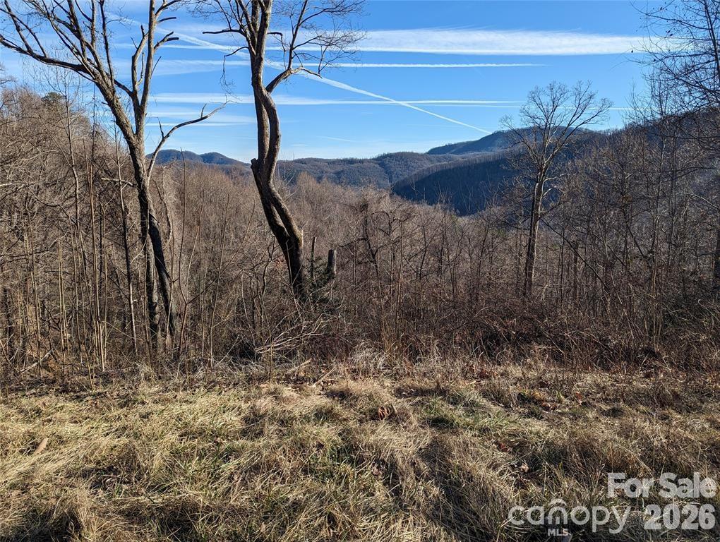 Lot at 117 Ironwood Lane, Black Mountain, photo 3 of 11