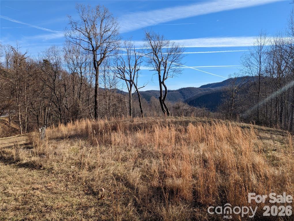 Lot at 117 Ironwood Lane, Black Mountain, photo 4 of 11