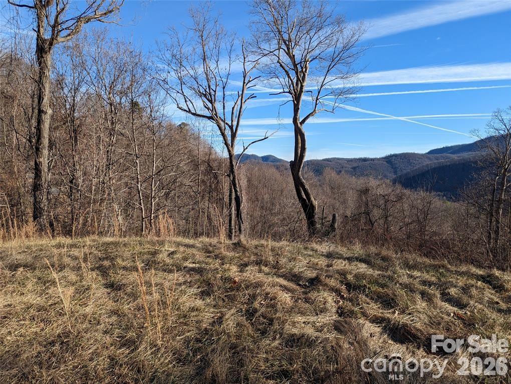 Lot at 117 Ironwood Lane, Black Mountain, photo 5 of 11