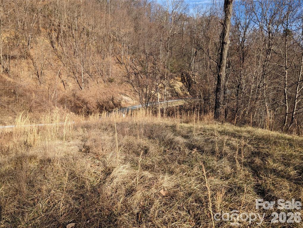 Lot at 117 Ironwood Lane, Black Mountain, photo 6 of 11