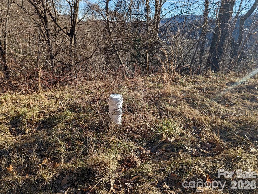 Lot at 117 Ironwood Lane, Black Mountain, photo 8 of 11