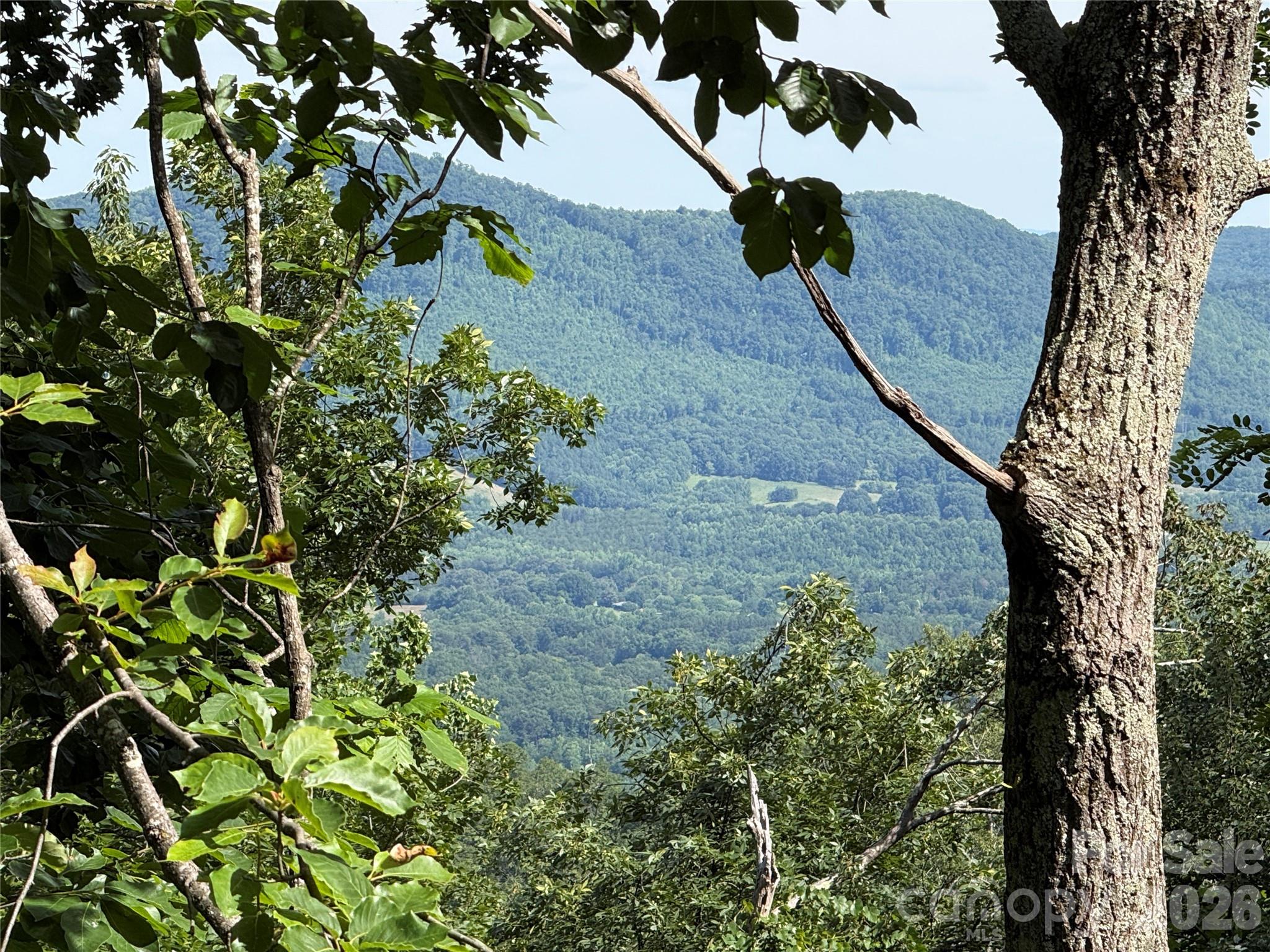 0 Arbra Mountain Way
