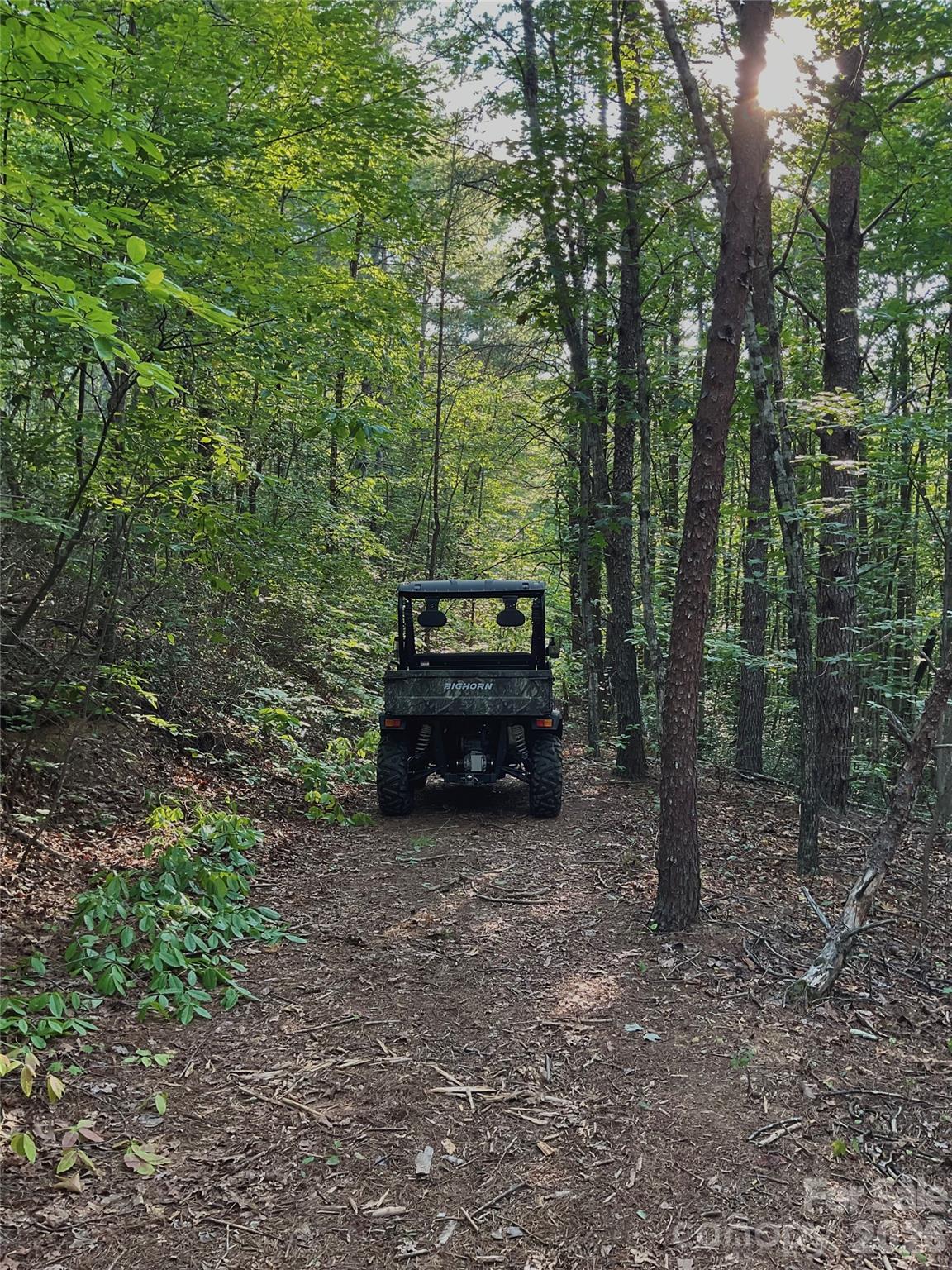 Established trails - 1239 W McGuinn Road, Mill Spring