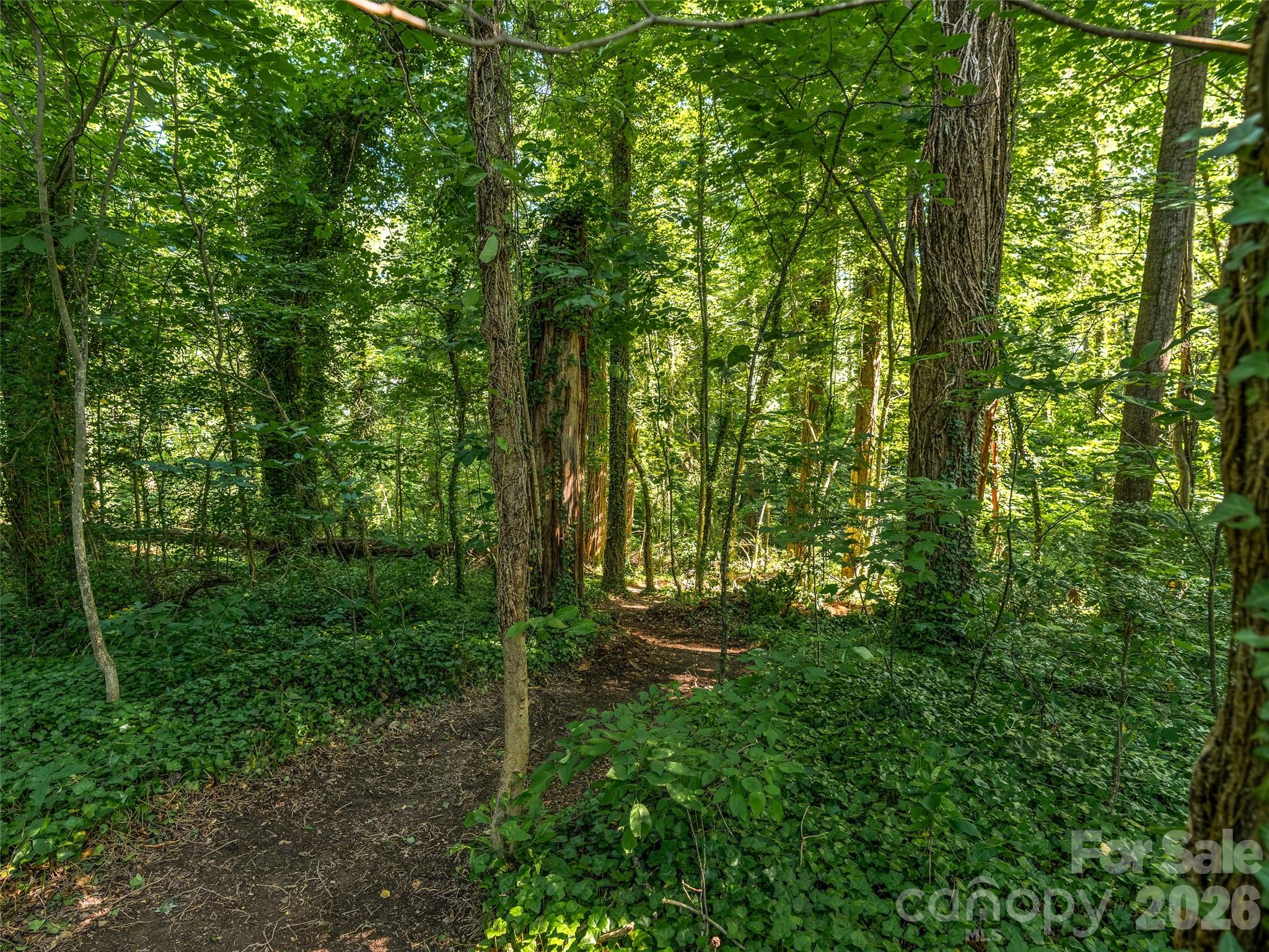 Lot at 103 Aurora Drive, Asheville, photo 6 of 16