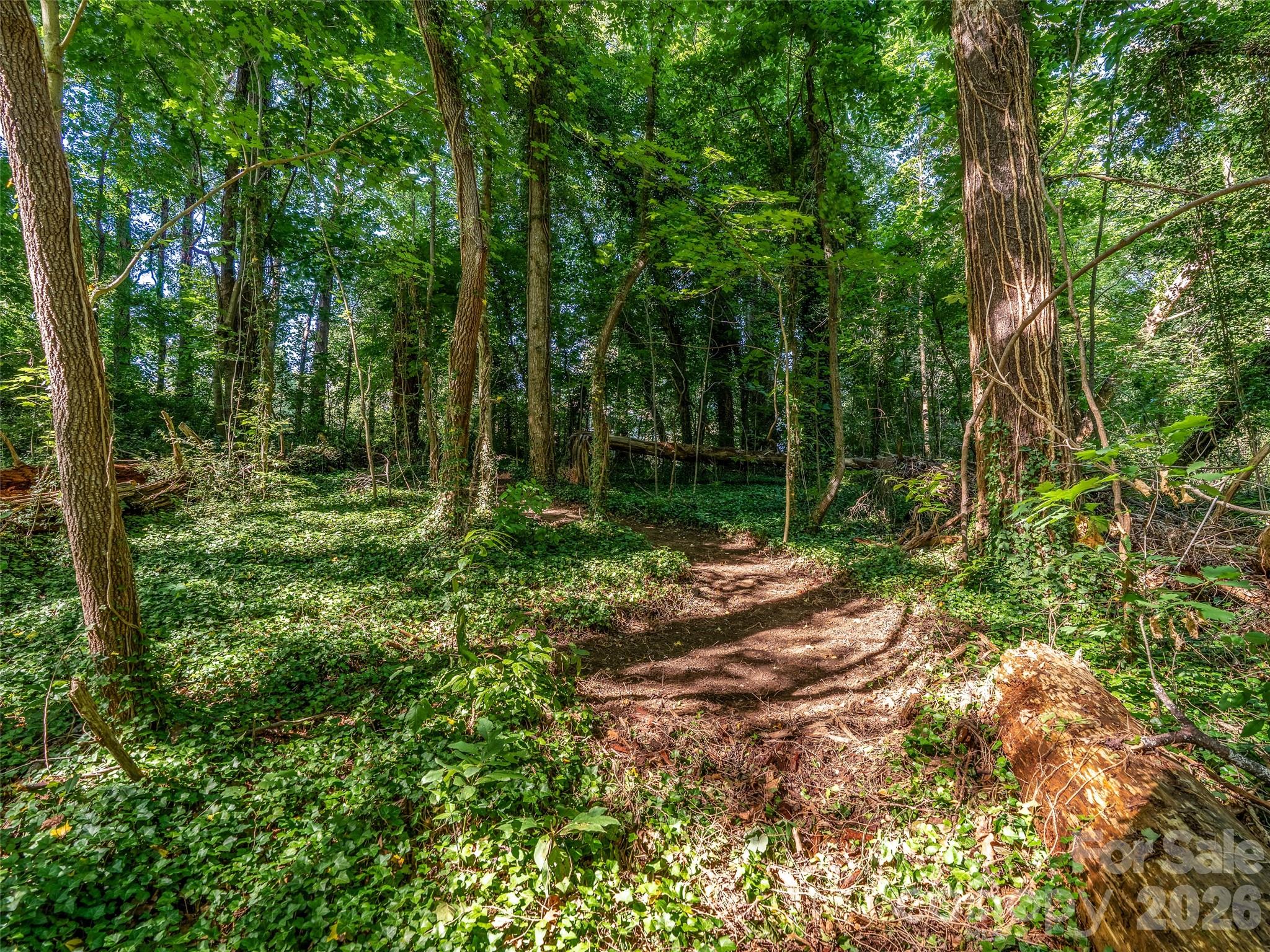 Site slopes gently to provide maximum privacy - 103 Aurora Drive, Asheville
