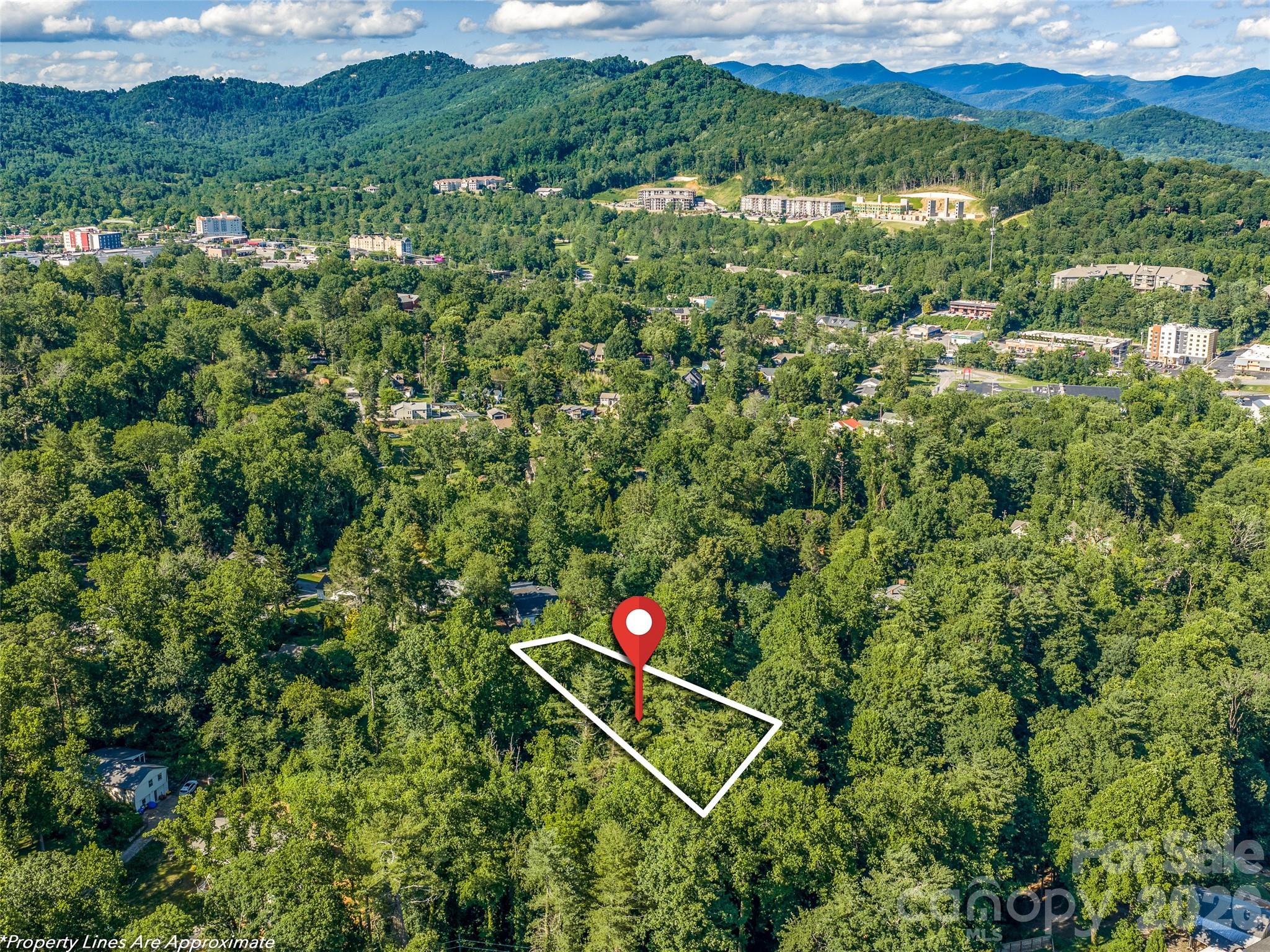 Location wonderfully convenient to Asheville recreation, shopping and dining - 103 Aurora Drive, Asheville