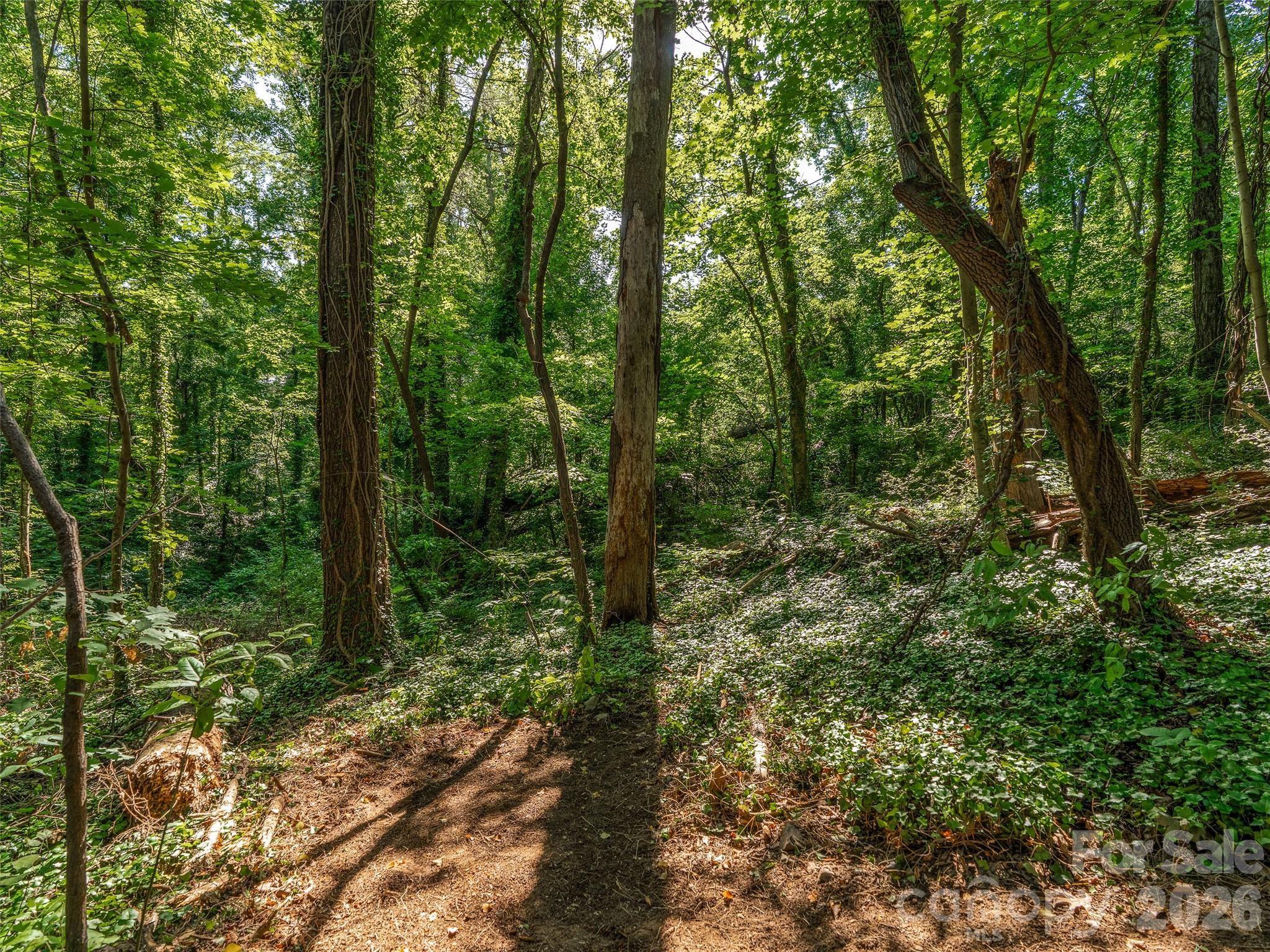 Lot at 103 Aurora Drive, Asheville, photo 15 of 16