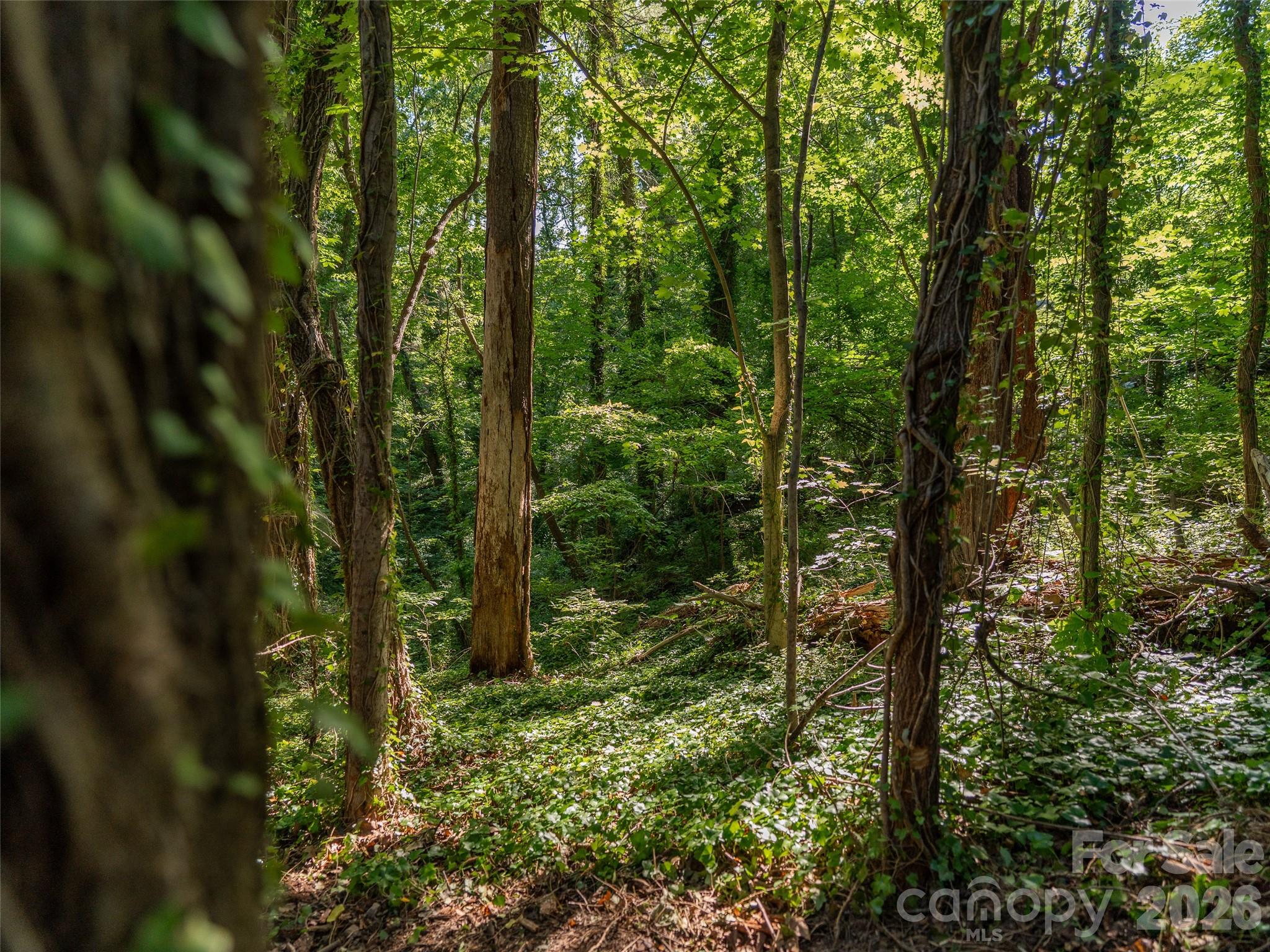 Lot at 103 Aurora Drive, Asheville, photo 16 of 16