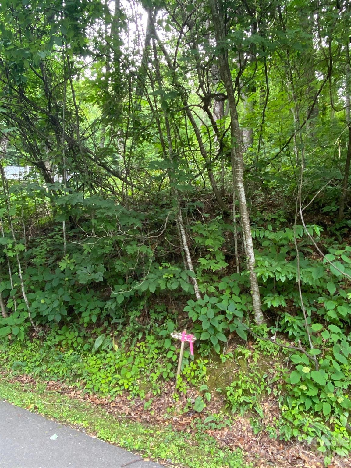 Lot at 00 Aaron Way, Waynesville, photo 2 of 6