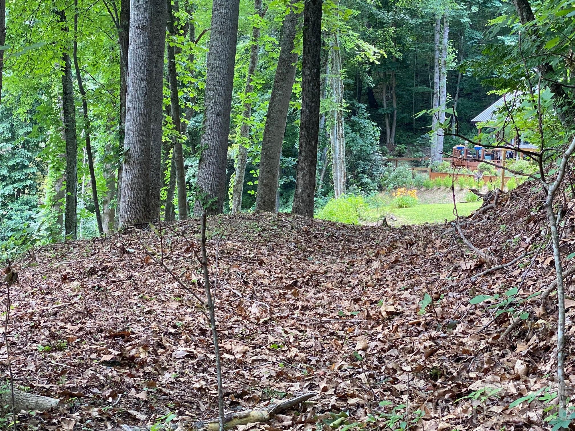 Lot at 00 Aaron Way, Waynesville, photo 4 of 6
