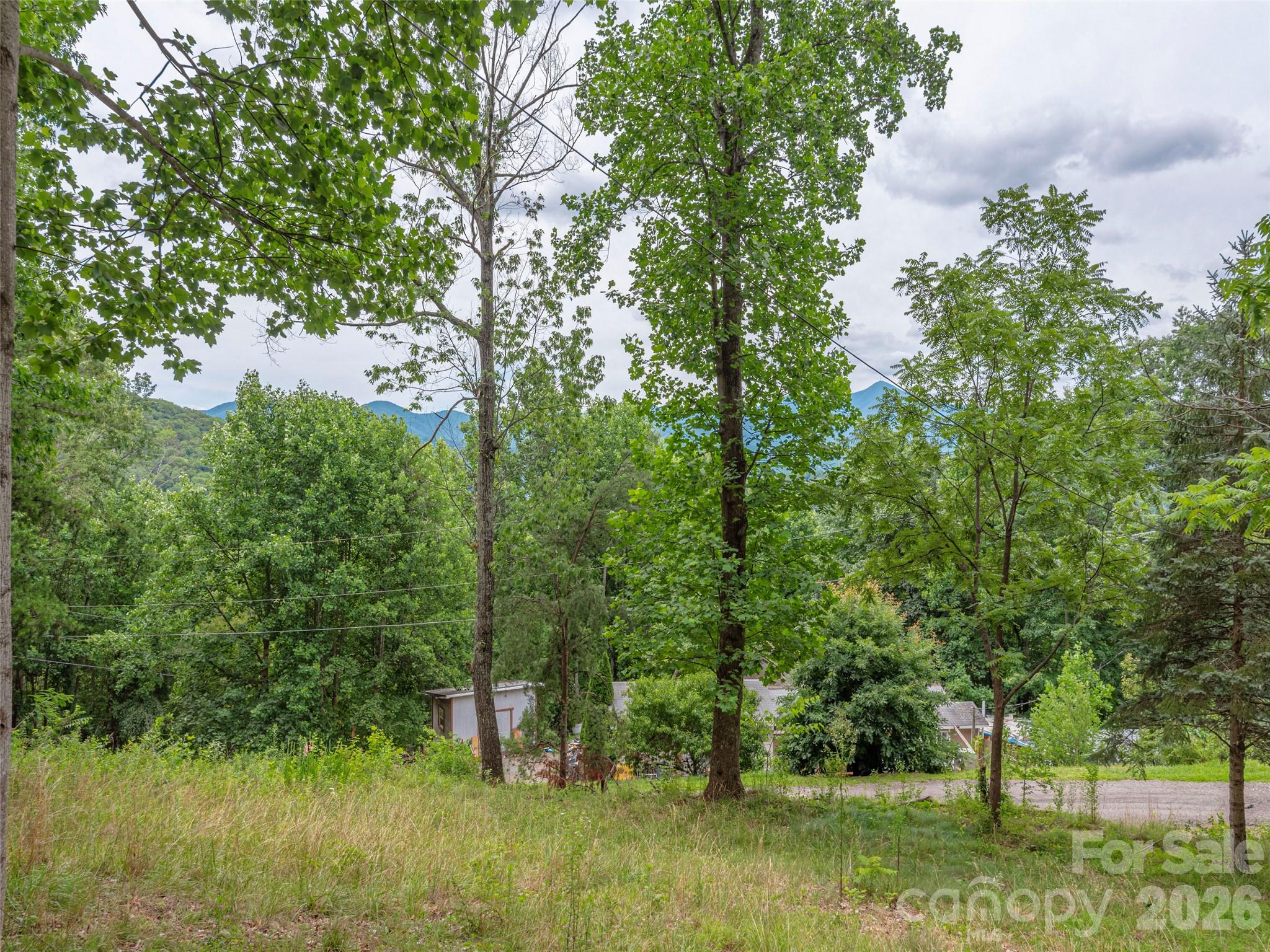 Single Family Residence at 87 Holly Ridge Road, Candler, photo 4 of 18