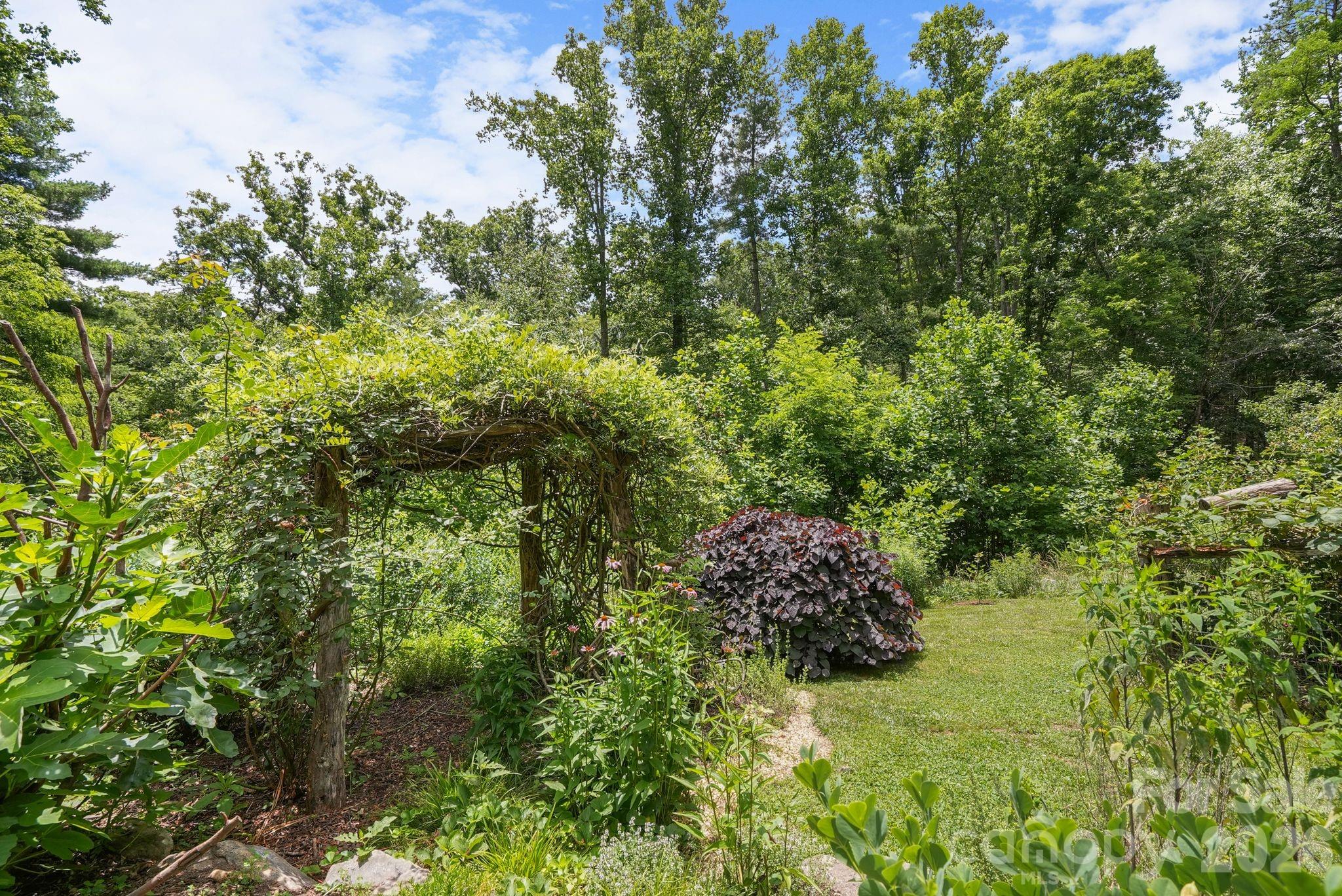 wisteria and weeping red bud - 24 Merriwood Trail, Arden