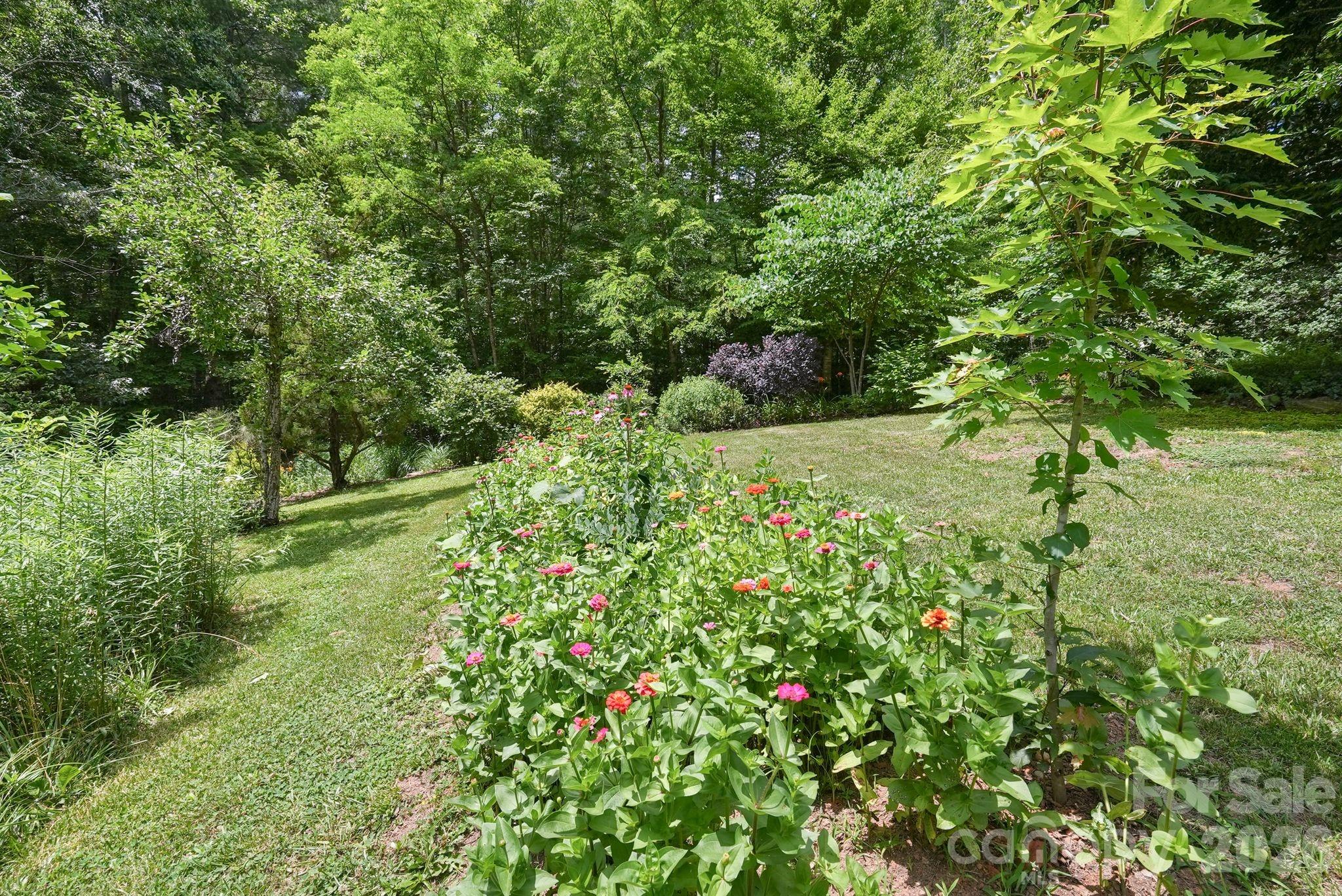 mature landscaping - 24 Merriwood Trail, Arden