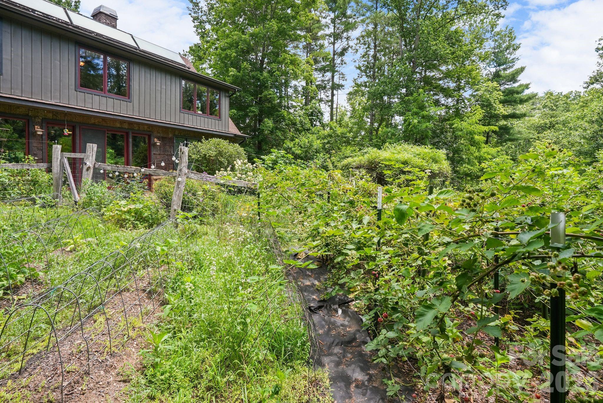 mature landscaping - 24 Merriwood Trail, Arden