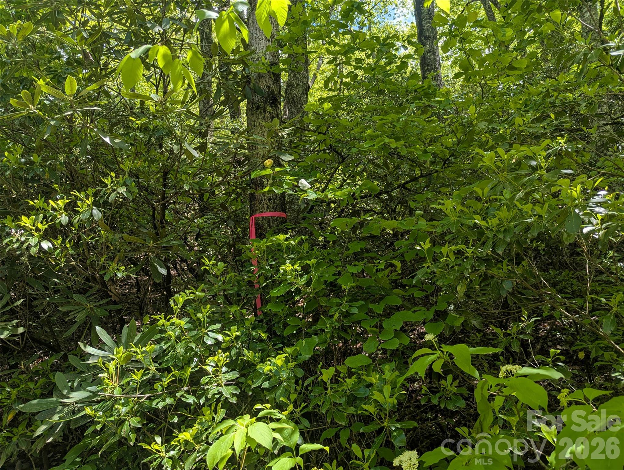 Boundaries are roughly marked. - 99999 Prospectors Trail, Black Mountain