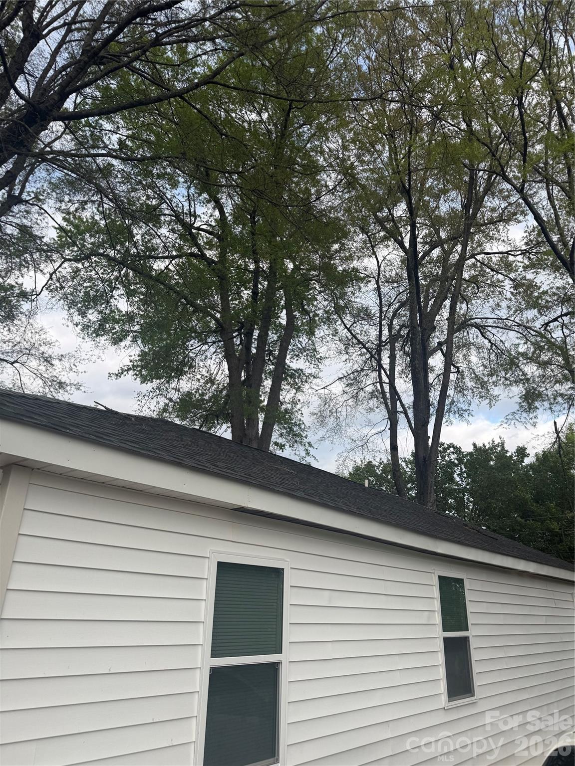 Exterior natural scenery - 821 First Street, Kings Mountain