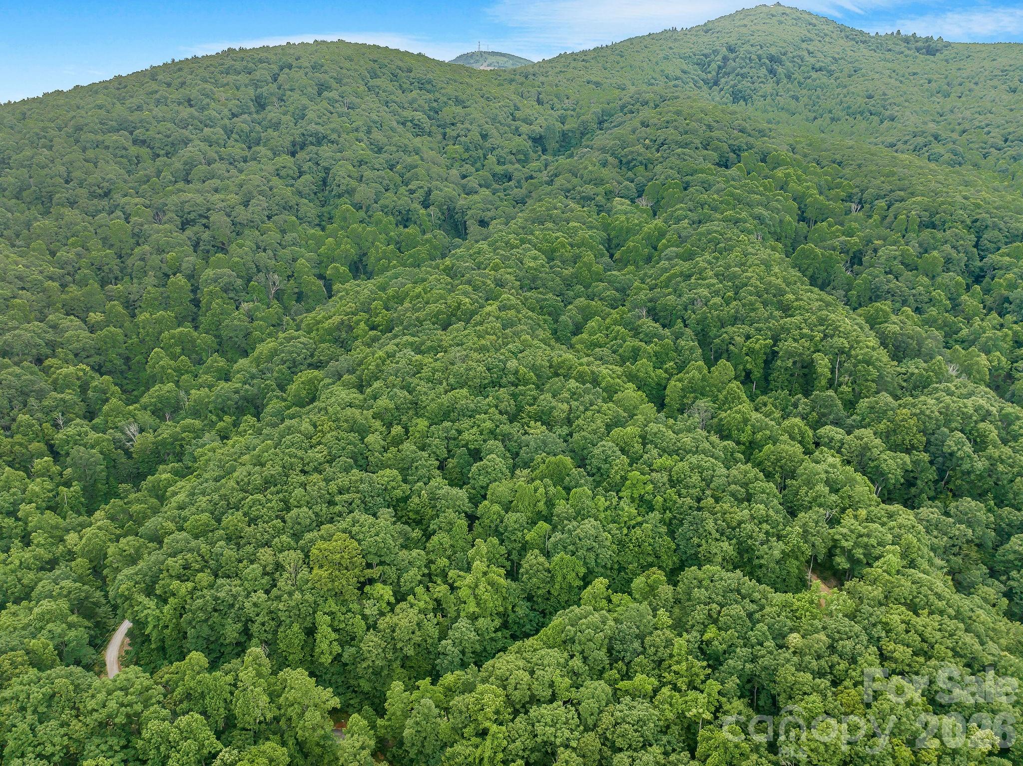 8 Carls Cove Road