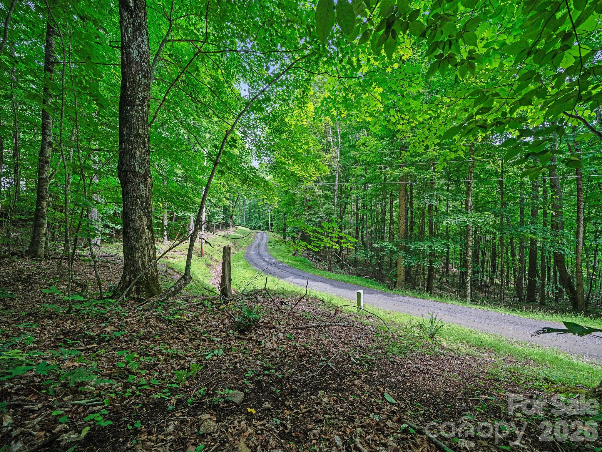 000 Shadow Moss Drive