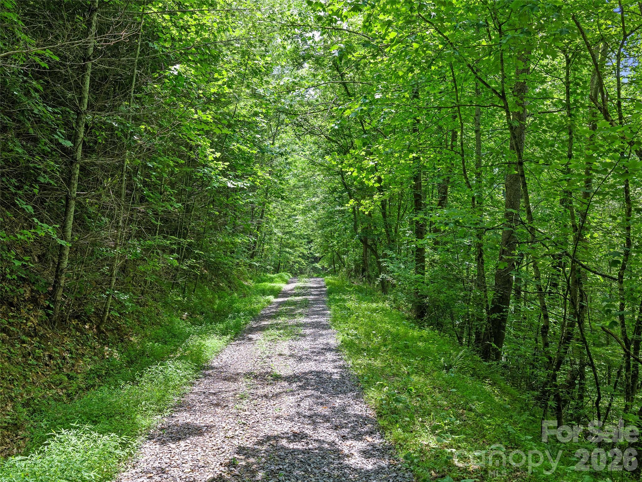 Well maintained community road - 000 Hamlet Drive, Burnsville
