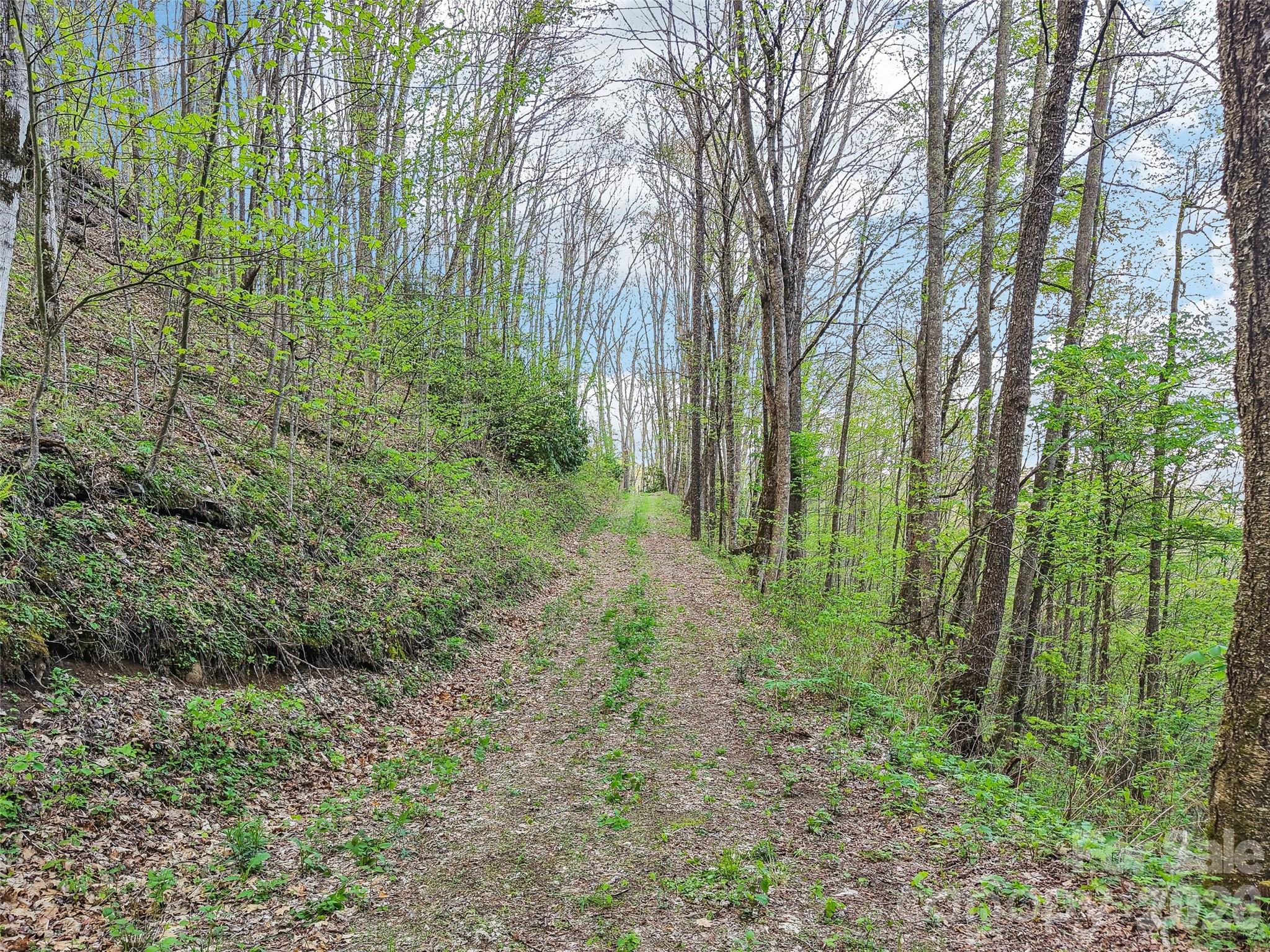Acreage at 00 Star Crest Drive, Waynesville, photo 2 of 10