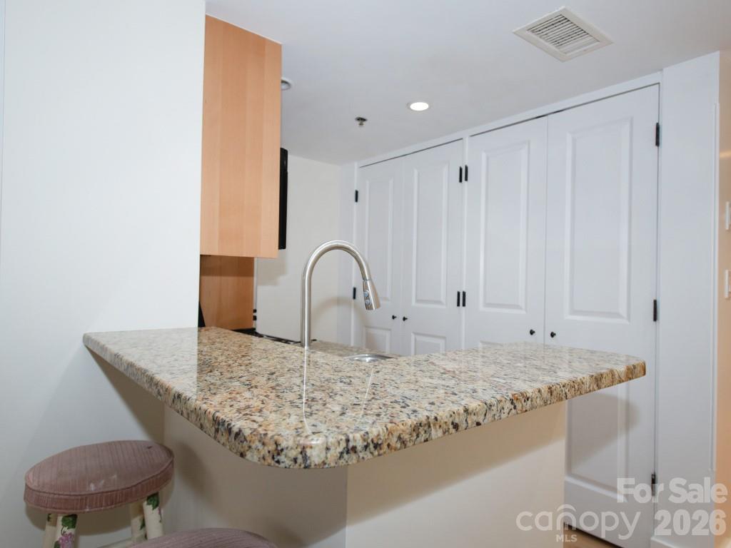 Condominium at 37 Hiawassee Street, Asheville, photo 7 of 22