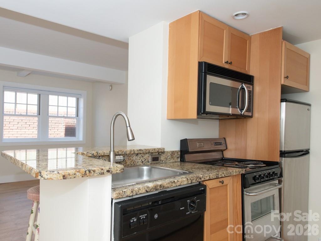 Condominium at 37 Hiawassee Street, Asheville, photo 9 of 22