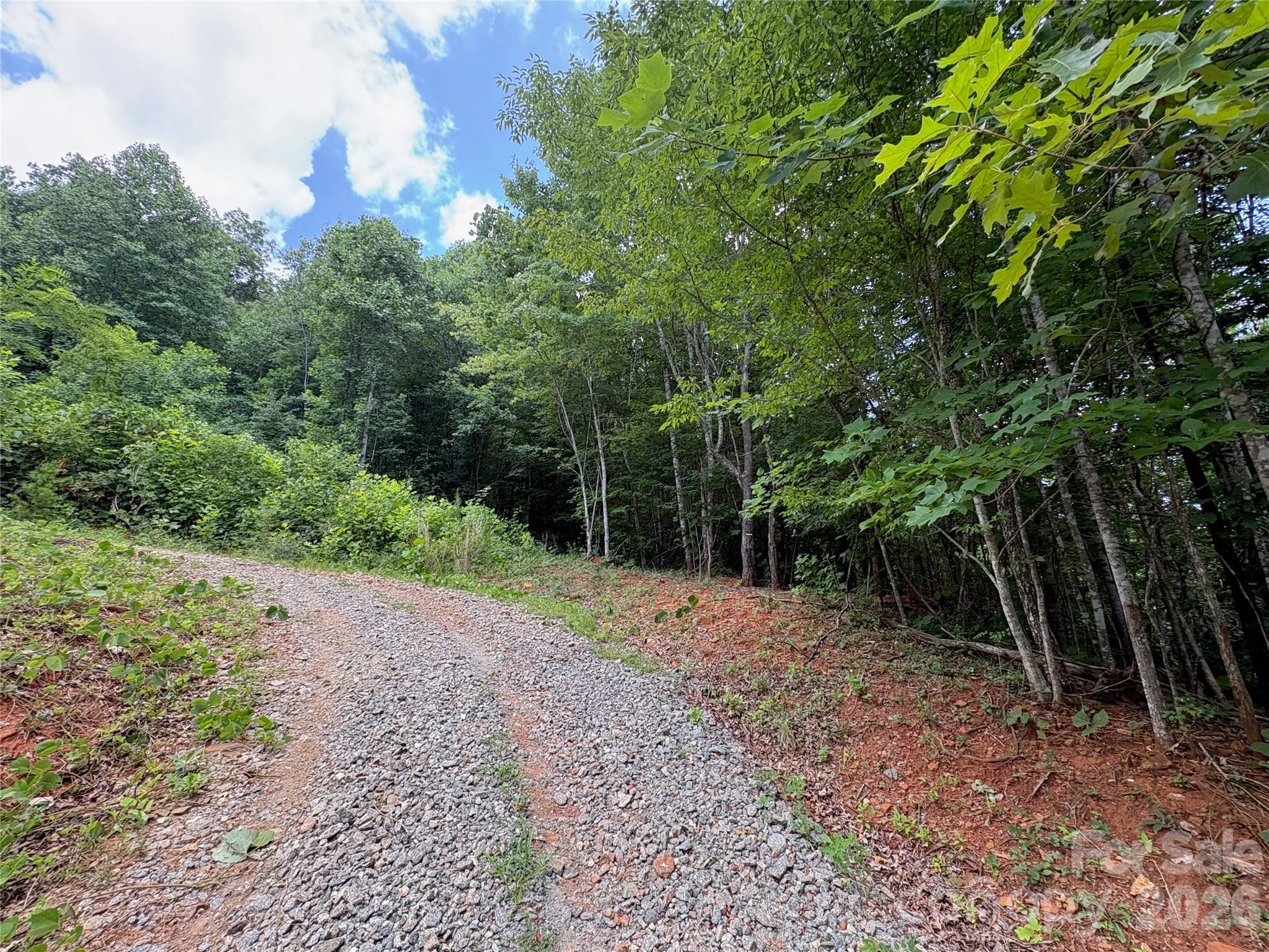 Lot at 289 Champange Ridge, Lake Lure, photo 4 of 7