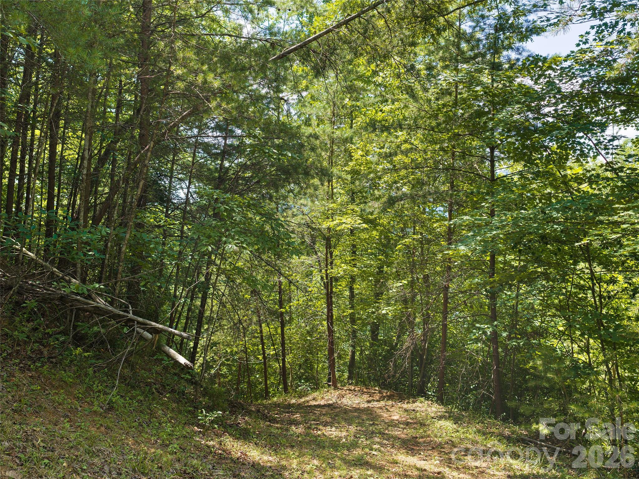 Lot at Lot 3 Loggers Pass Lane, Mill Spring, photo 3 of 13