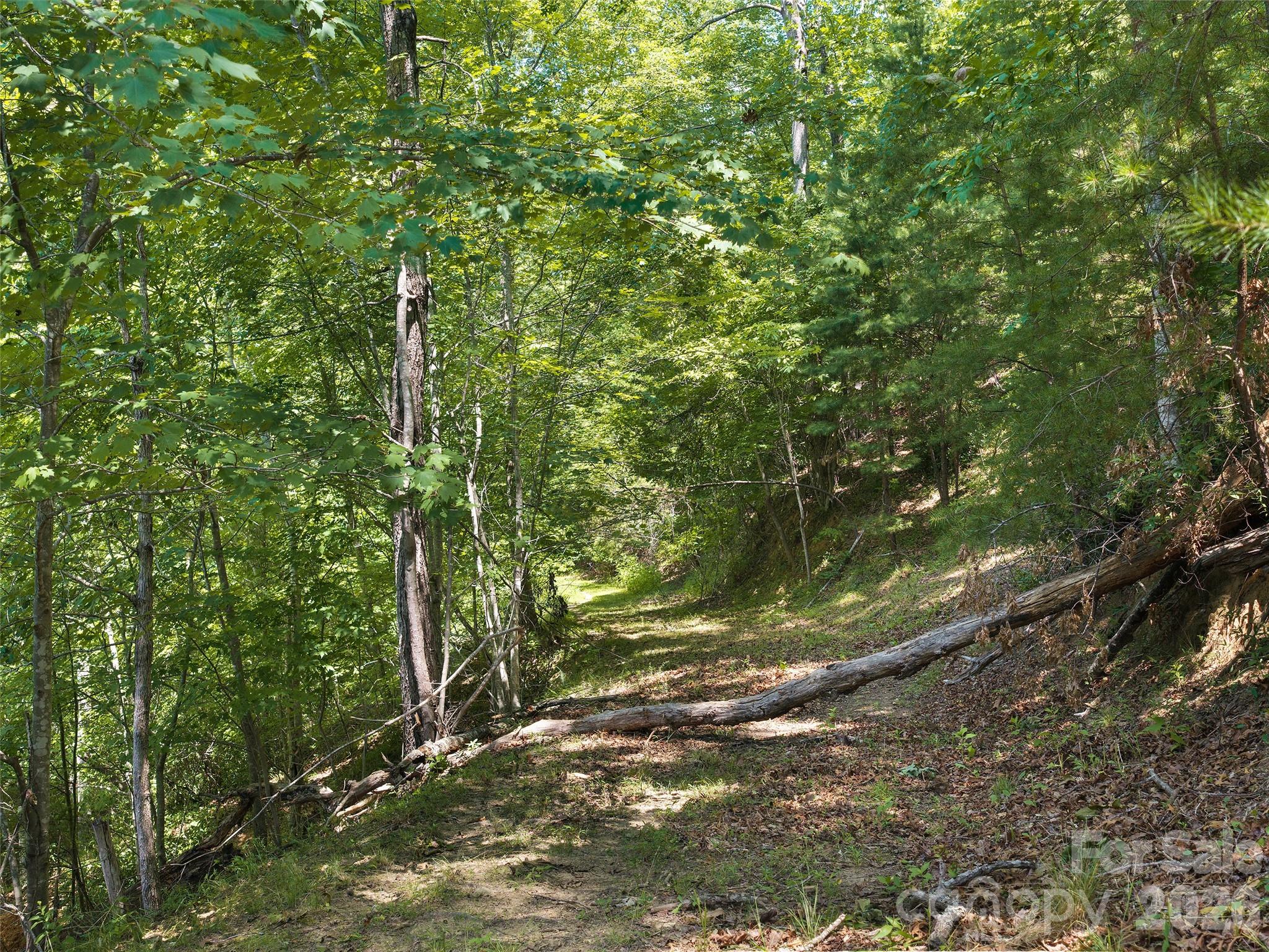Lot at Lot 3 Loggers Pass Lane, Mill Spring, photo 4 of 13
