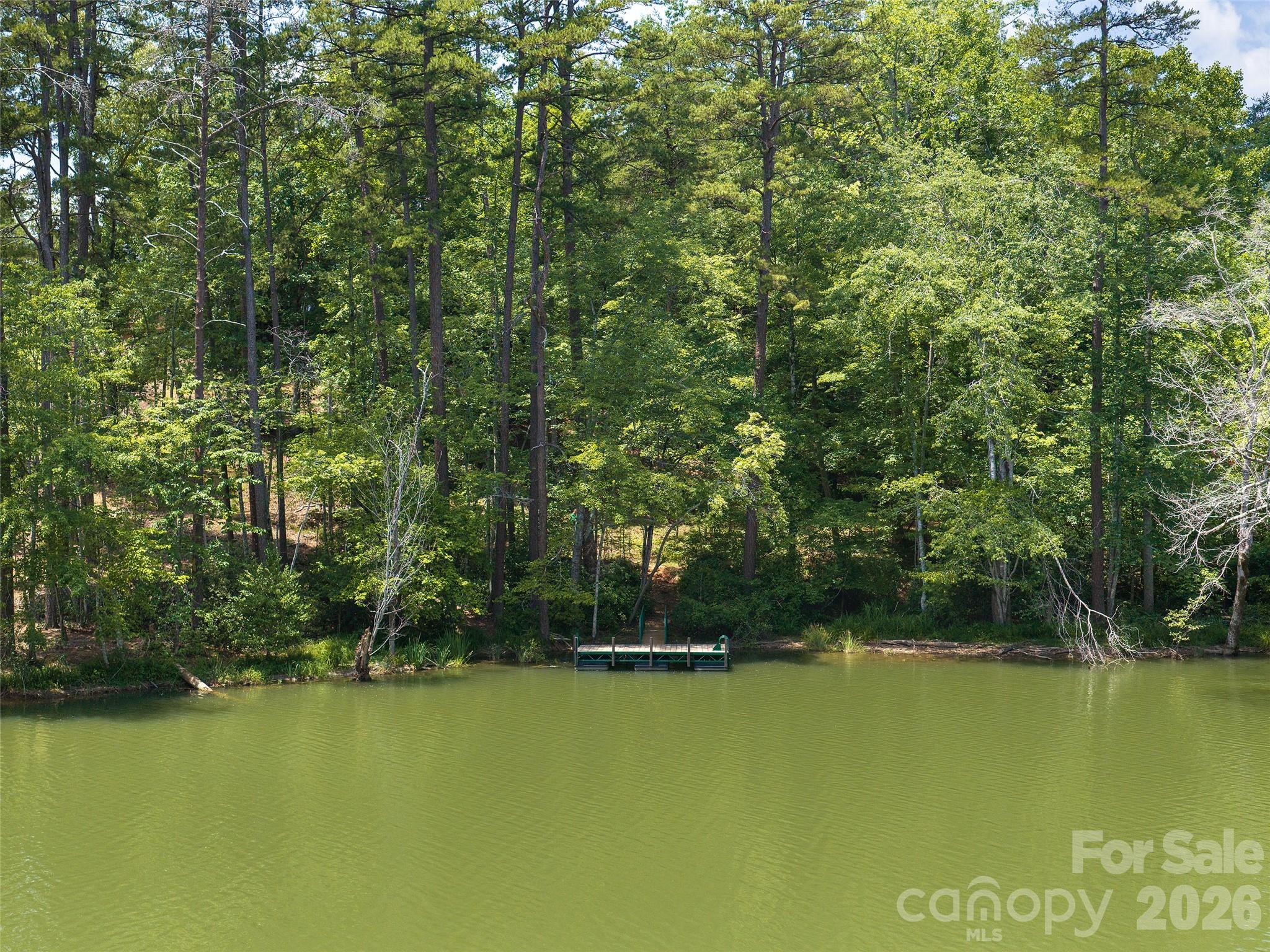 Lot at Lot 14 Parkway North Road, Mill Spring, photo 4 of 14