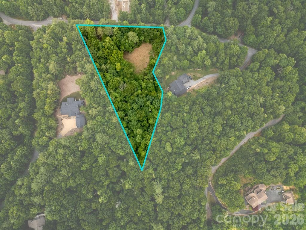 Lot at 1571 Eagle Lake Drive, Brevard, photo 3 of 21