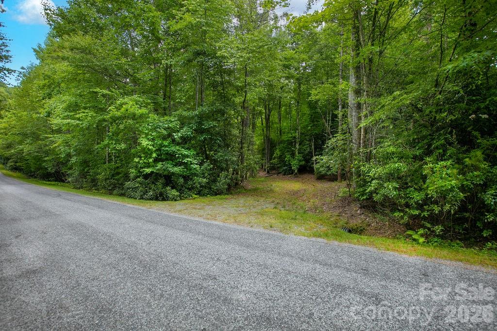 Lot at 1571 Eagle Lake Drive, Brevard, photo 9 of 21