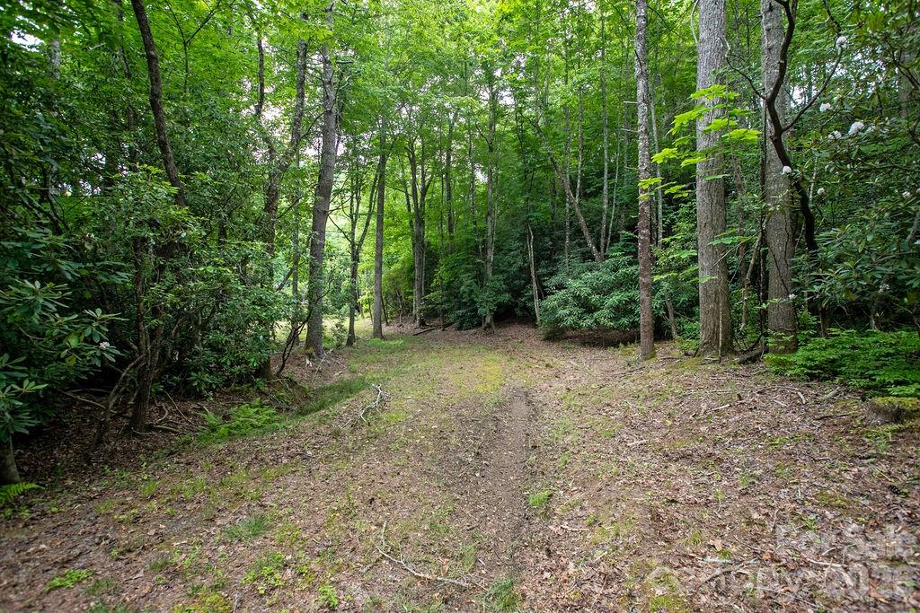 Lot at 1571 Eagle Lake Drive, Brevard, photo 10 of 21