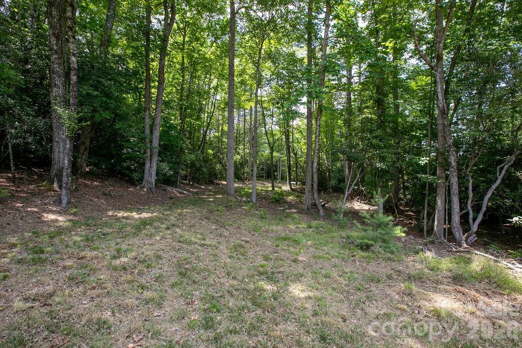 Lot at 1571 Eagle Lake Drive, Brevard, photo 19 of 21