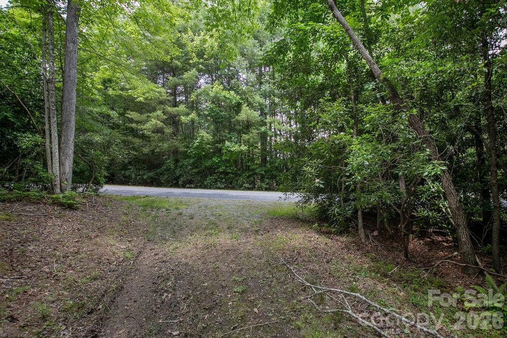 Lot at 1571 Eagle Lake Drive, Brevard, photo 21 of 21
