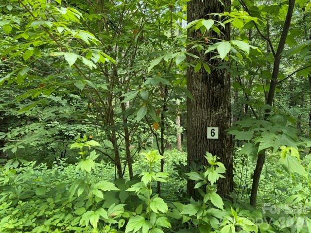 Lot 6 Gadohi Trail