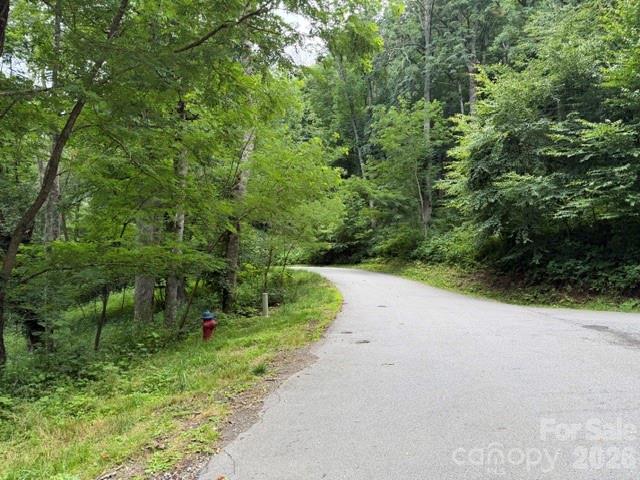 Lot at Lot 6 Gadohi Trail, Maggie Valley, photo 2 of 37