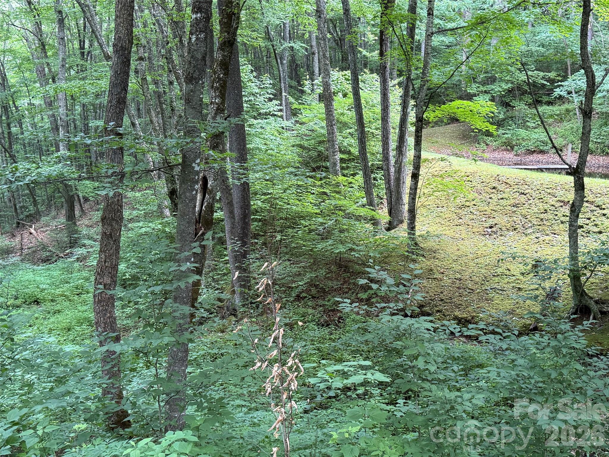 Lot at Lot 7 Gadohi Trail, Maggie Valley, photo 17 of 36