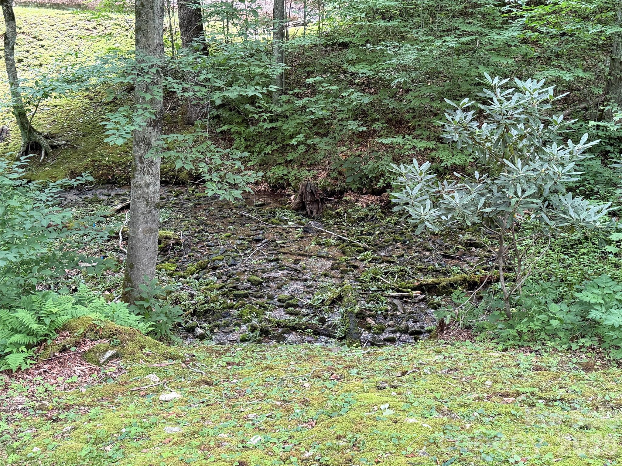 Lot at Lot 7 Gadohi Trail, Maggie Valley, photo 18 of 36